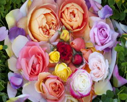 ���i�C���[�W